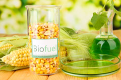 Bwlch Y Plain biofuel availability