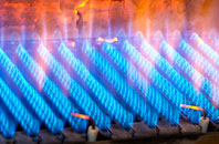 Bwlch Y Plain gas fired boilers